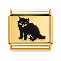 Black Cat Charm