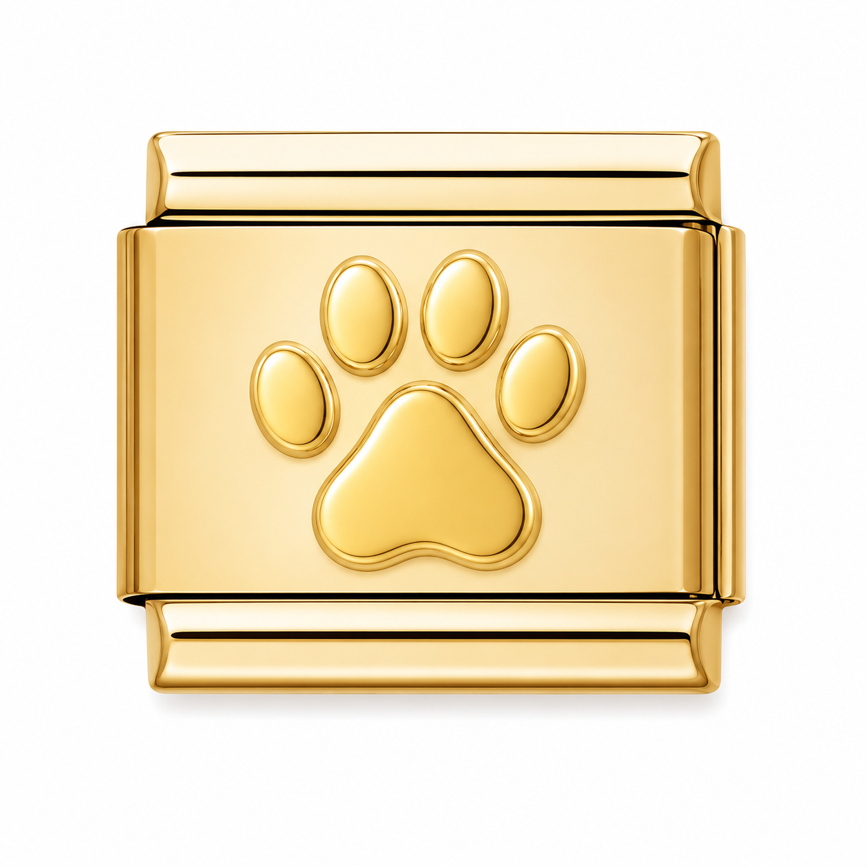 Paw Charm